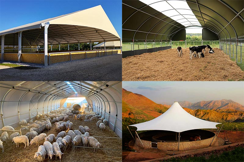 tensile fabric shade structure for livestock farm