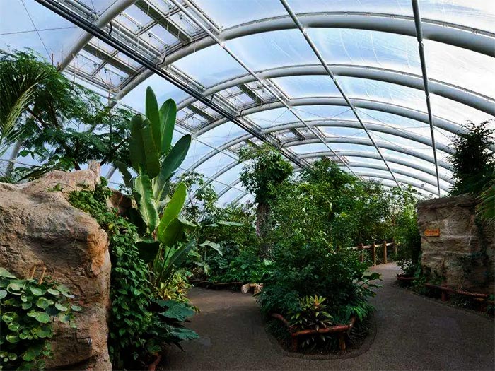 Botanical garden tensile fabric structure roof