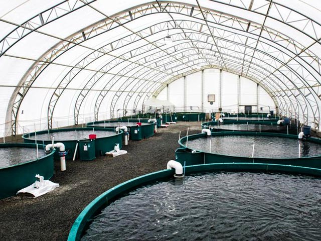 Tension membrane structure roof for aquaculture