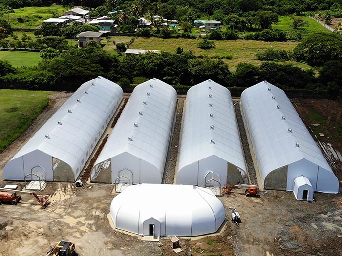 Tensile membrane structure for seedling cultivation greenhouse